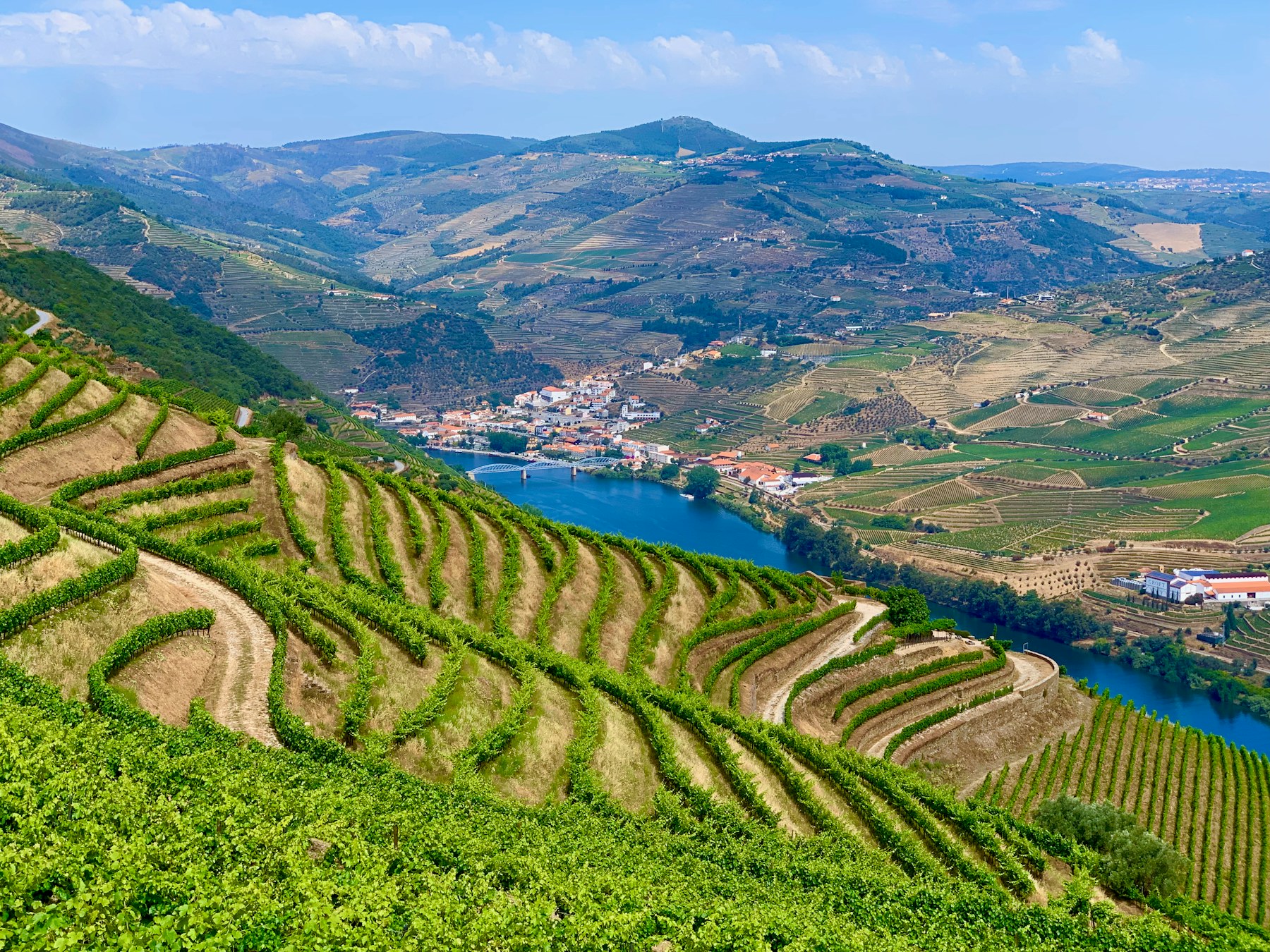 Douro wine region landscape