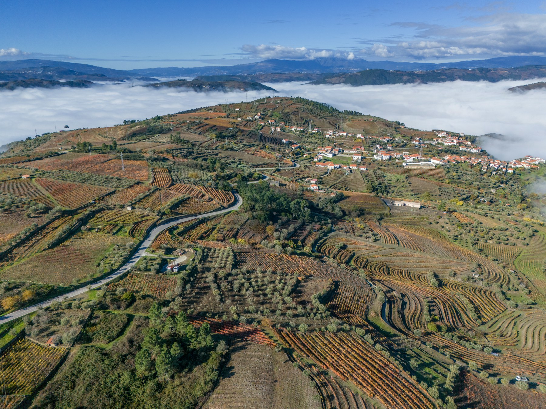 Terraced Portuguese wine landscape