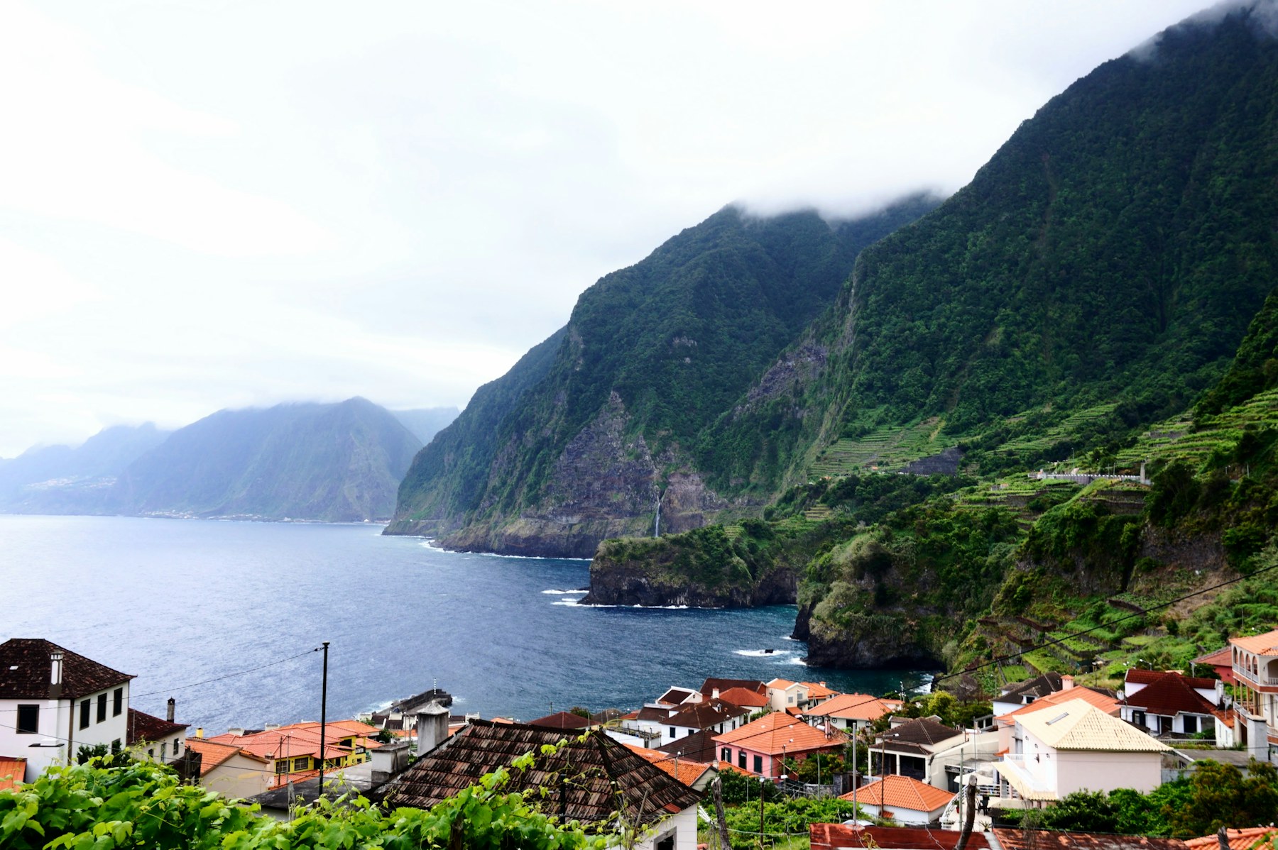 Madeira wine region landscape